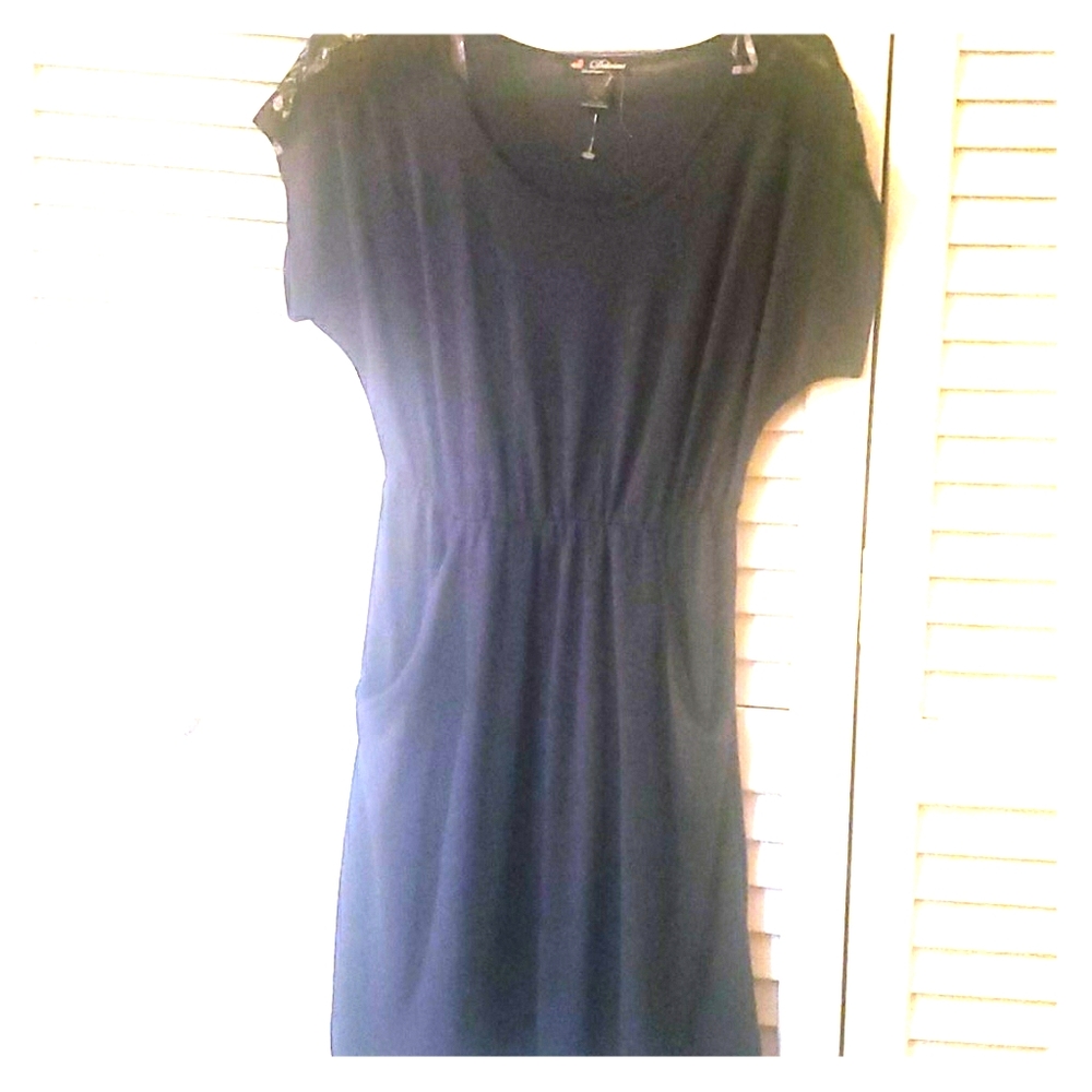 Navy blue dress w/ POCKETS